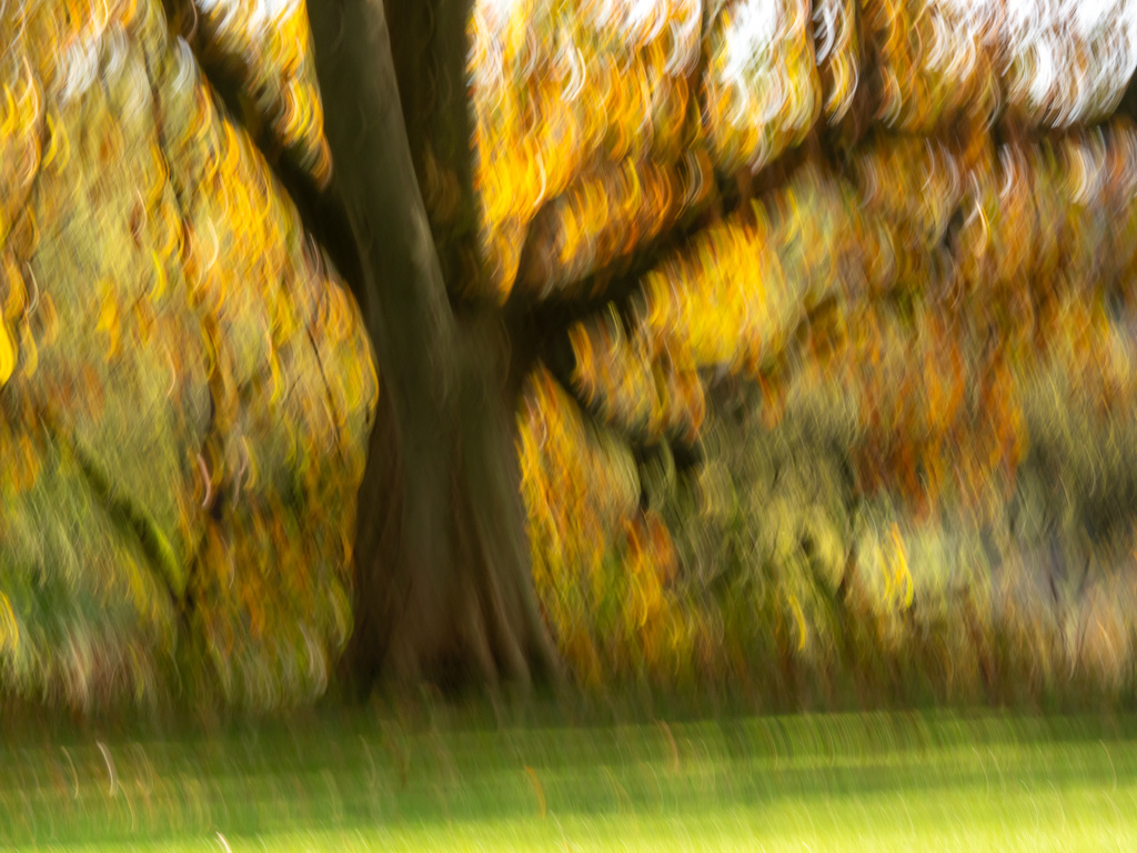 Herbstlich Herbstlich