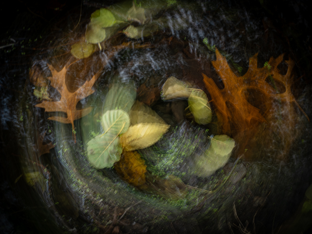 Blätterstrudel Blätterstrudel